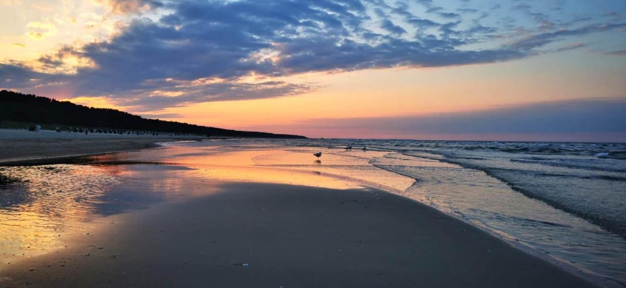Ferienhaus Ostseebrise Insel Usedom Karlshagen المظهر الخارجي الصورة
